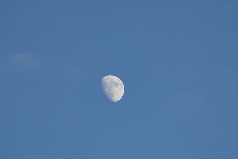 MMM02438L.jpg