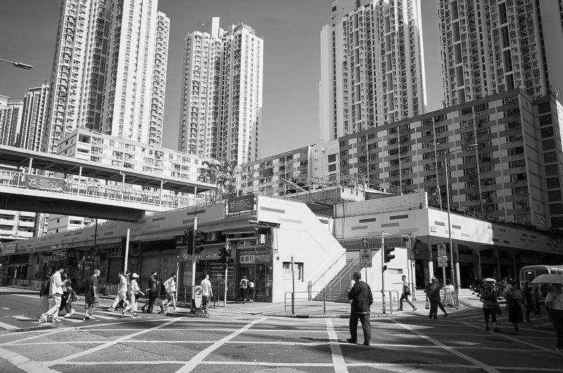 DSC_3429L.jpg