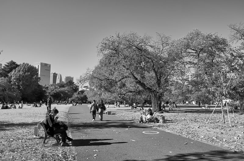 DSC_3490s.jpg