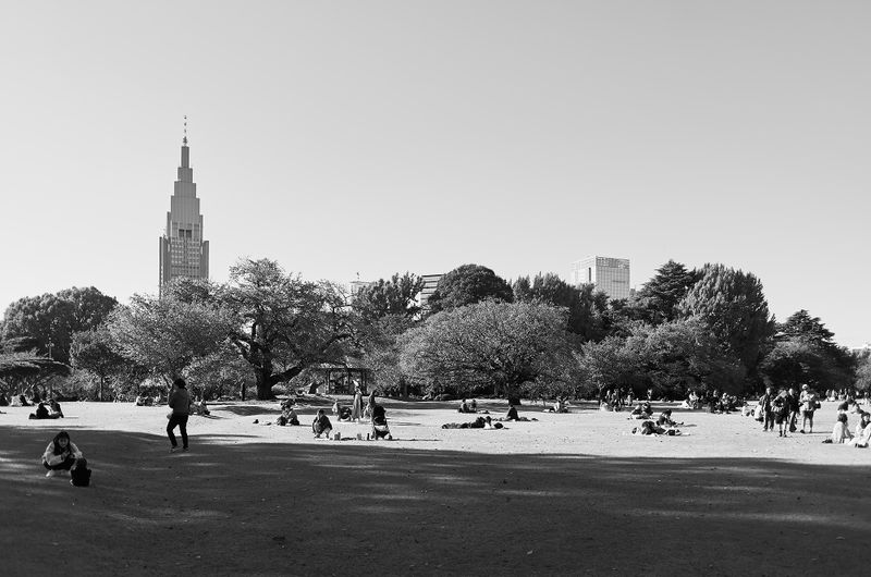 DSC_3491s.jpg