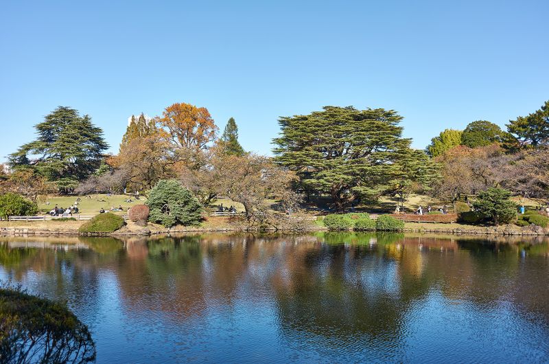 DSC_3504s.jpg