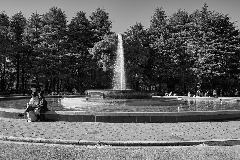 DSC_3517s.jpg