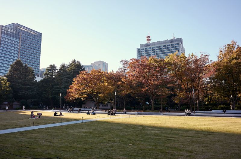 DSC_3520s.jpg