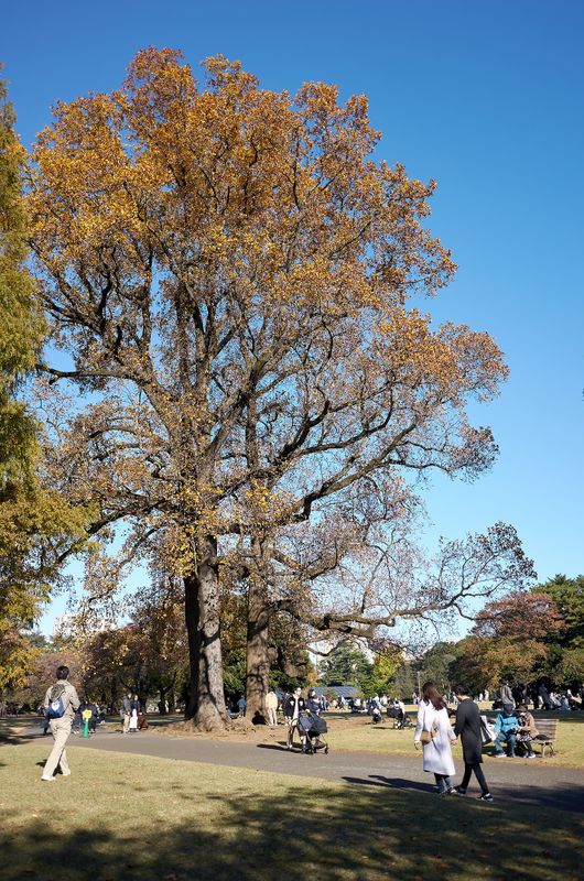 DSC_3494s.jpg