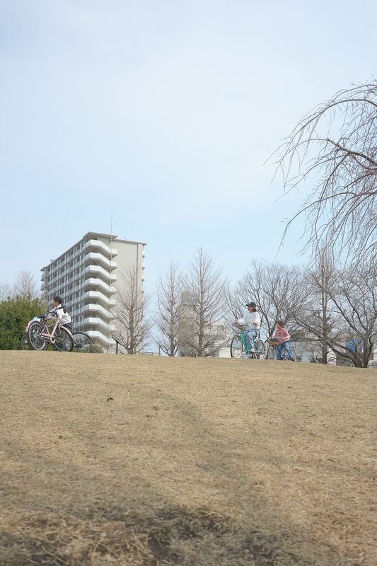 DSC_3761s.jpg