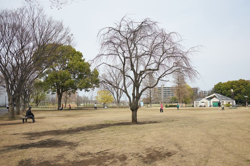 DSC_3756s.jpg