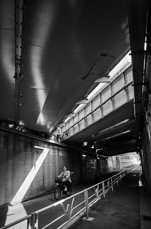 DSC_3769s.jpg