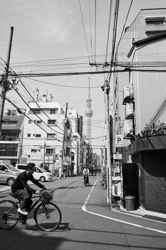 DSC_3797s.jpg