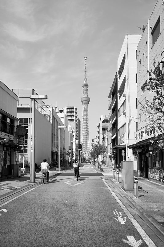 DSC_3808L.jpg