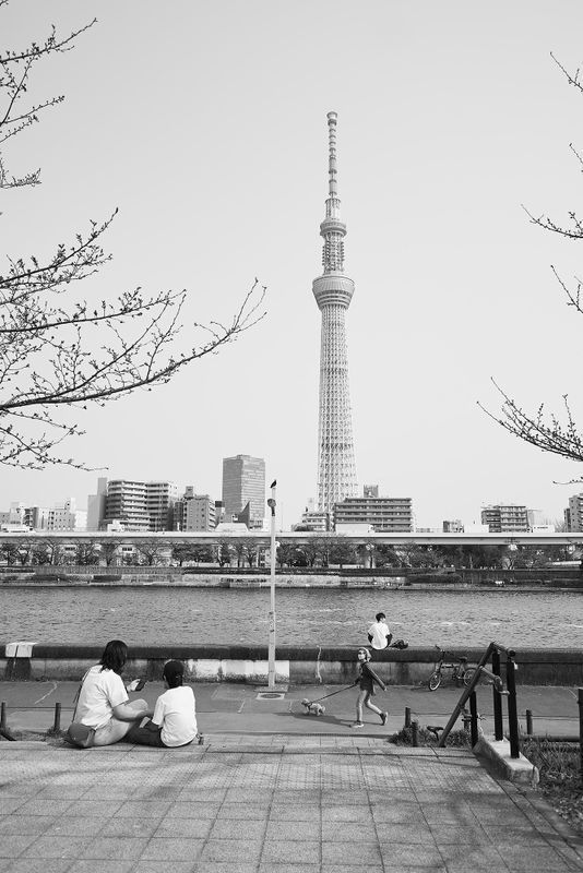 DSC_3833s.jpg