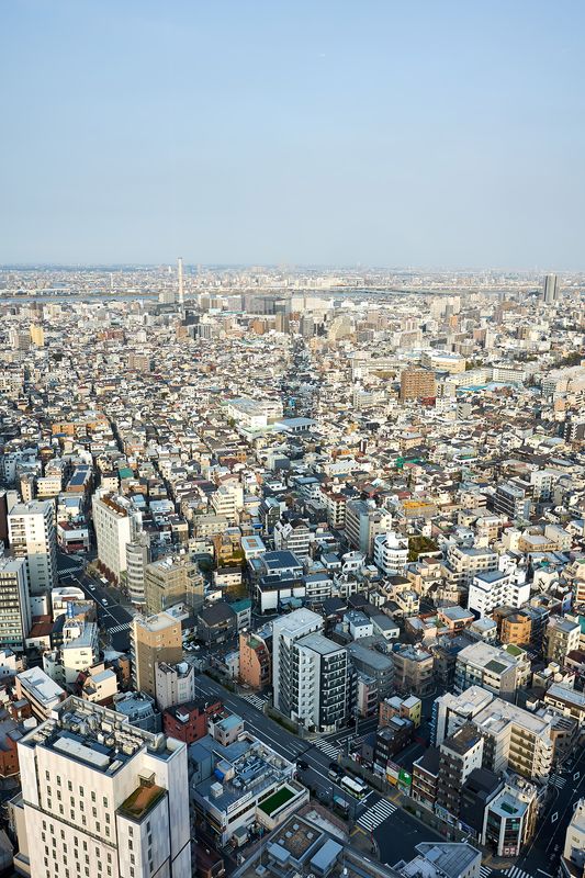 DSC_3834L.jpg