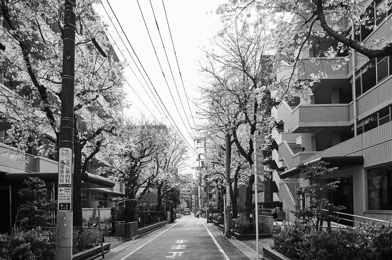 DSC_3892s.jpg