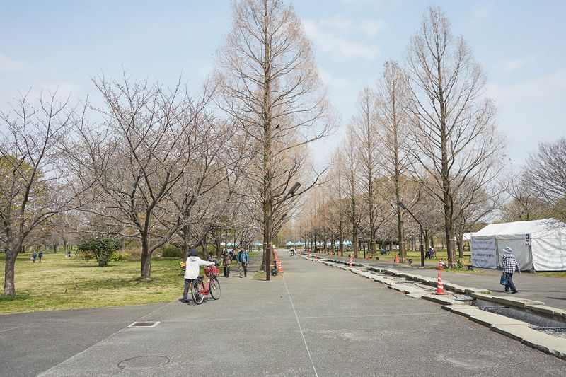 DSC_3926s.jpg