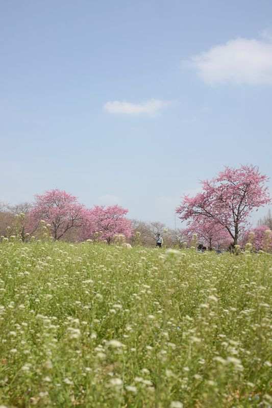 DSC_3943s.jpg