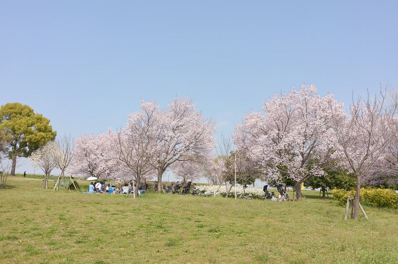 DSC_3958s.jpg