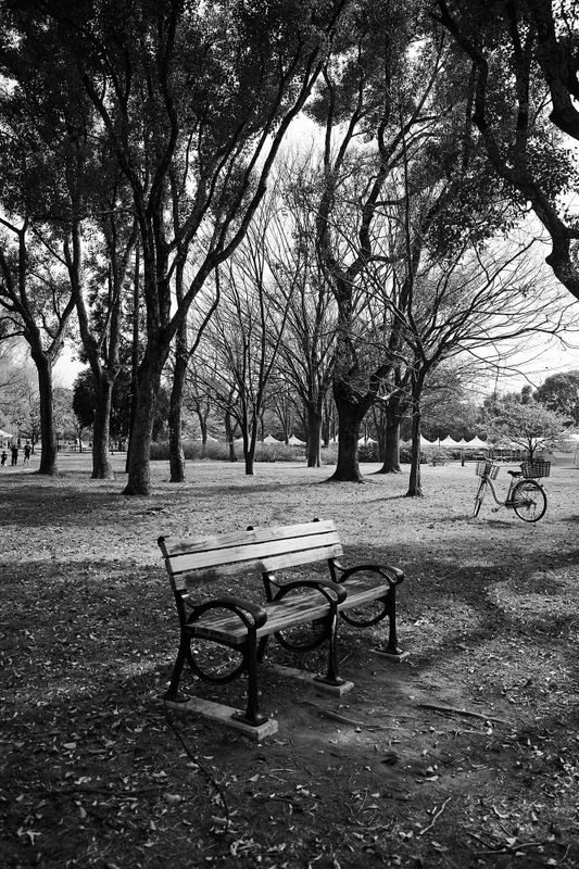 DSC_3975s.jpg