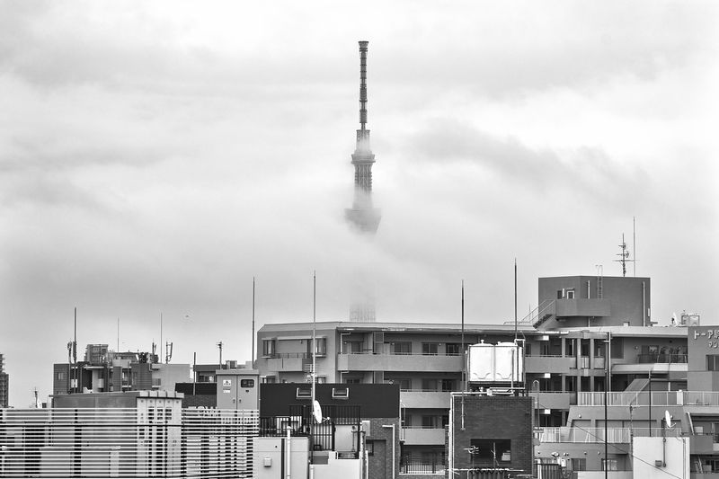 MMM00966L.jpg