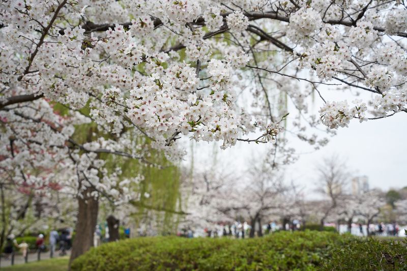 Tokyo