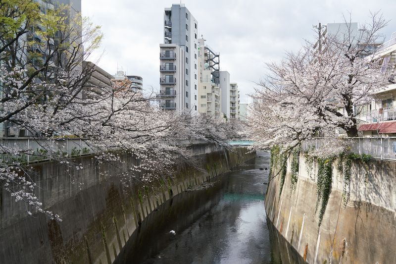 Tokyo