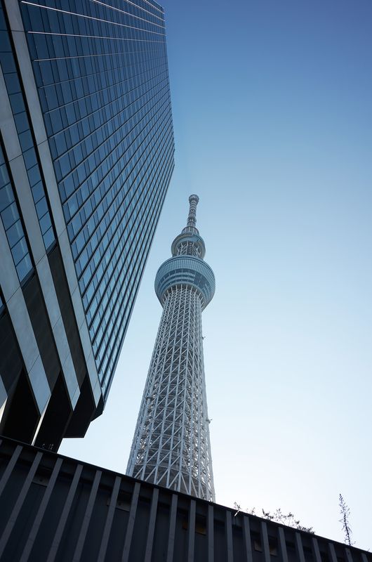 DSC_4000L.jpg