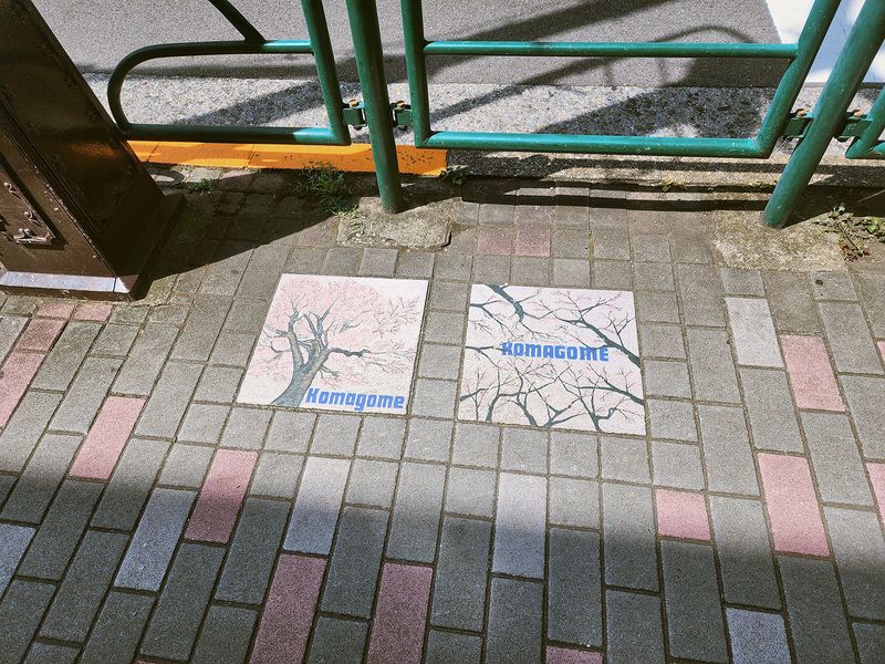 20250818_102504cs.jpg