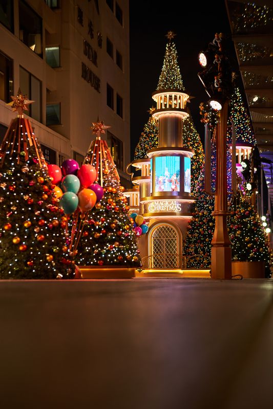 Tsim Sha Tsui 戀戀美麗都