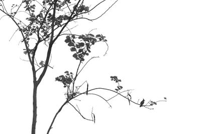 g13/06/4106/3/173684059.1a064af5.JPEG