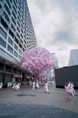 g13/06/4106/3/173711798.d9bd51c4.JPEG