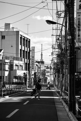 g13/06/4106/3/175089188.68ecd875.JPEG