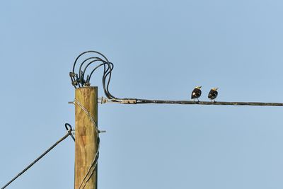 g13/06/4106/3/175201776.50946faa.JPEG