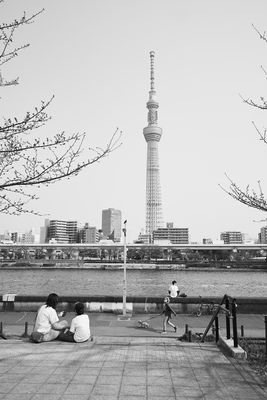 g13/06/4106/3/175346274.9a2d57e9.JPEG