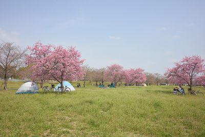 g13/06/4106/3/175348942.f9d43141.JPEG