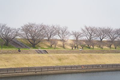 g13/06/4106/3/175390344.f0866fa2.JPEG