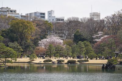 g13/06/4106/3/175410588.5f6f057f.JPEG