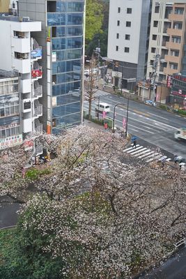 g13/06/4106/3/175434103.a404c7f8.JPEG