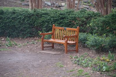 FSZ_6657.jpg