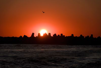 Sunrise with gull