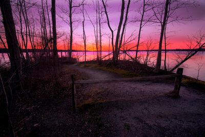 Fence Sunrise