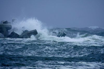 Point Pleasant  New Jersey