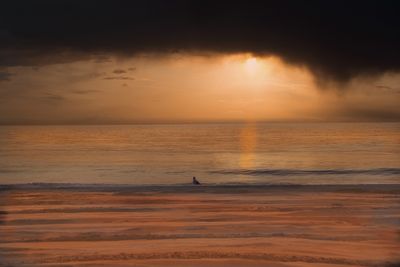 Corrolla N.C. Outer Banks