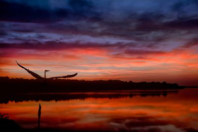 Sunrise with Heron