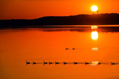 Sunrise with duck rows