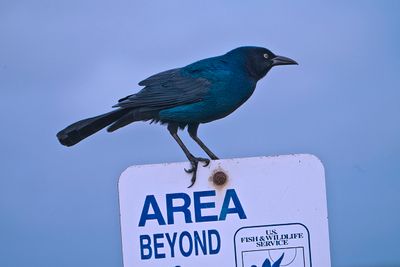 Gate Keeper