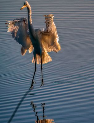 Sunrise Landing