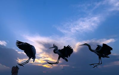 Feathers, Fur, and Other Creatures
