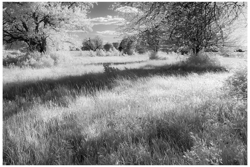 812 Grassy_Panorama1 c.jpg