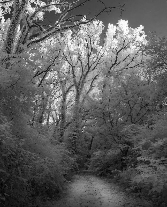 The path DSC_9574-1-5 c.jpg