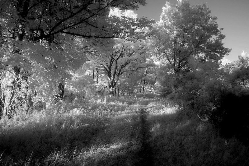 P1110191.jpg