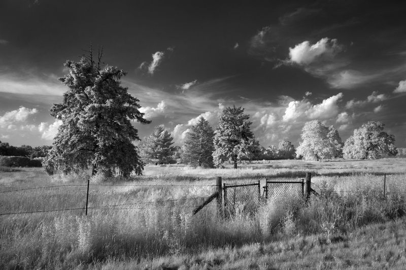 1611 P1100944-1 d b.jpg