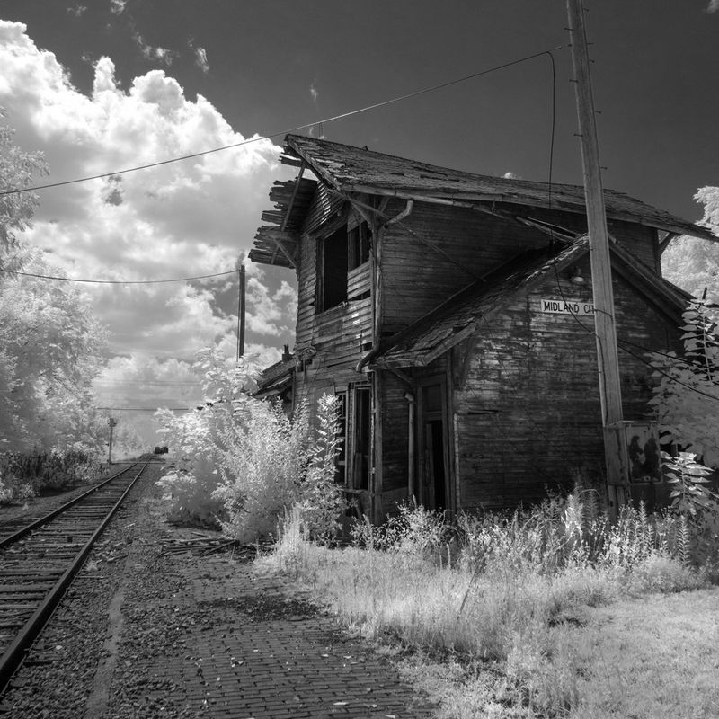 P1110764-1.jpg